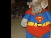 Tips Howloween