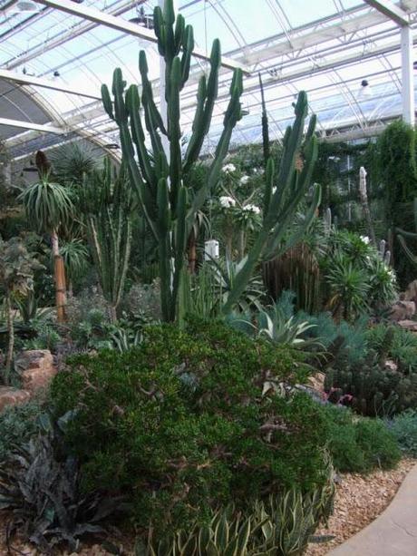 A Tour of the Glasshouse at Wisley