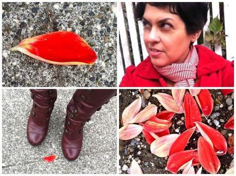 Outfit Post: Miz Mooz, Ox-blood Boots