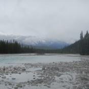Ice Fields in the Canadian Rockies