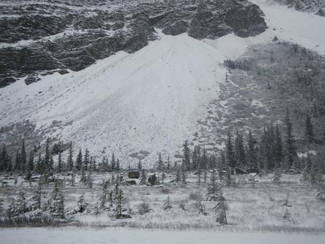 Ice Fields in the Canadian Rockies