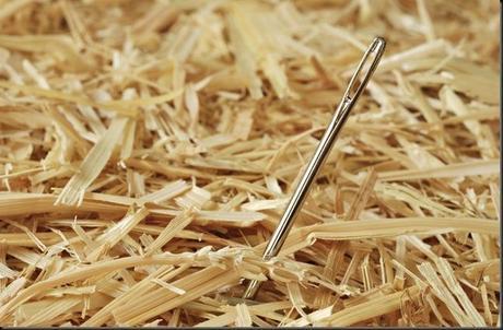 needle haystack