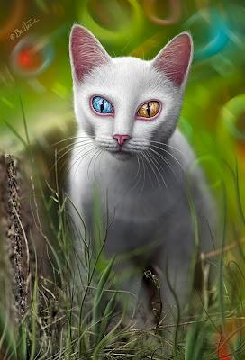 Hypnosis(See it on deviantART)Psychedelic albino Van cat ...
