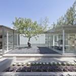 Catch the Tree Spa by LAND Arquitectos