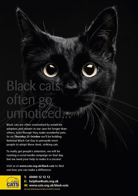Tomorrow is National Black Cat Day!