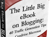 Review ‘The Little eBook Blogging’!