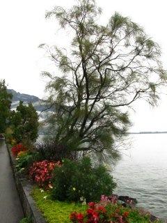 day 3- montreaux & gruyere switzerland.