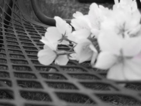 Good, better, best. Good, better, best.