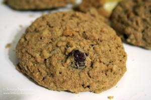 Best Cookie Recipes: Chocolate Chip Oatmeal Cookies