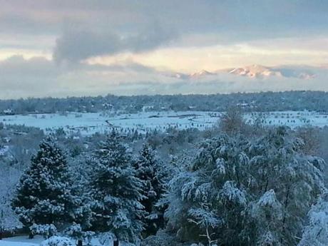 Winter Wonderland & Food Bank Of The Rockies