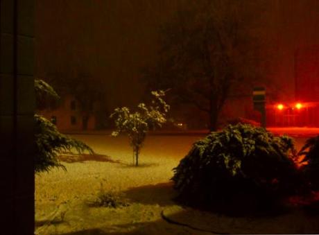 Winter Wonderland & Food Bank Of The Rockies