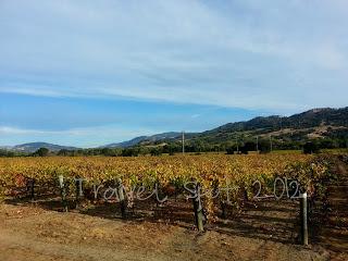 Cloverdale Harvest Half Marathon