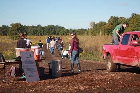 Experience: Tree Planting with the David Suzuki Foundation