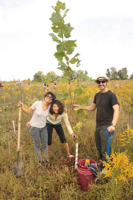 Experience: Tree Planting with the David Suzuki Foundation