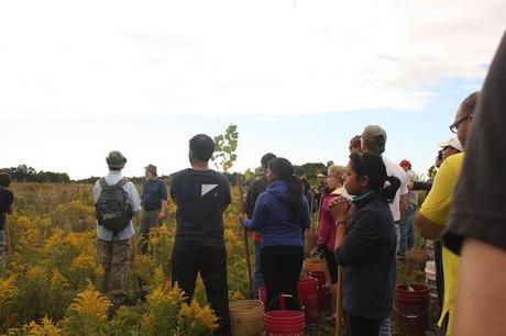 Experience: Tree Planting with the David Suzuki Foundation