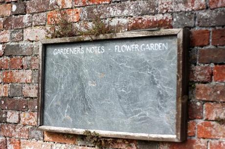 Holiday Series: The Lost Gardens of Heligan