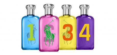 ralph lauren big pony collection