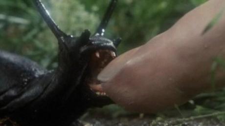 Movie of the Day – Slugs