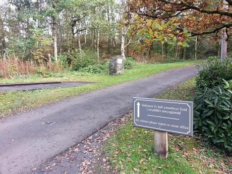Dolgothi Gold Mines, Lampeter