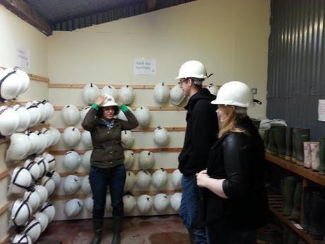 Dolgothi Gold Mines, Lampeter