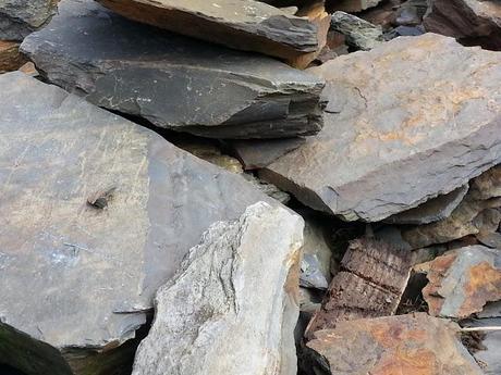 Dolgothi Gold Mines, Lampeter