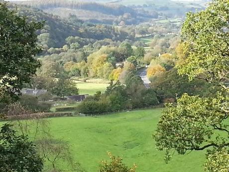 Dolgothi Gold Mines, Lampeter