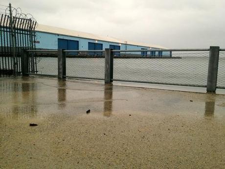 Live Reporting On Hurricane Sandy From The Trenches* of South Brooklyn (*Tree-Lined Streets)