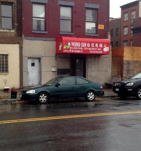 Live Reporting On Hurricane Sandy From The Trenches* of South Brooklyn (*Tree-Lined Streets)