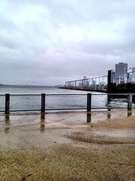 Live Reporting On Hurricane Sandy From The Trenches* of South Brooklyn (*Tree-Lined Streets)