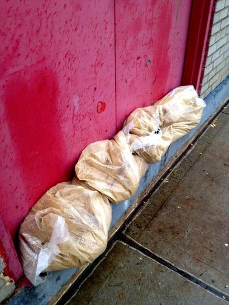 Live Reporting On Hurricane Sandy From The Trenches* of South Brooklyn (*Tree-Lined Streets)