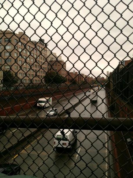 Live Reporting On Hurricane Sandy From The Trenches* of South Brooklyn (*Tree-Lined Streets)