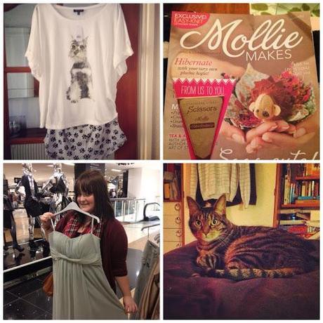 What I've been up to ...