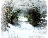 Narnia Gateway to another world 8x8 Fantasy Fine Art Photo, Snowy tree tunnel, fairytale - shashamane