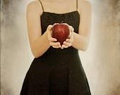 Wishing Apple (Original 8x8 Fine Art Photography) - foodandshelter