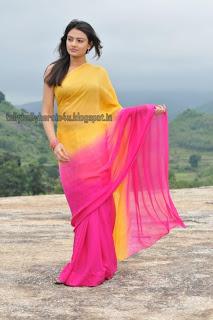 Nikitha Narayan - Sexy in Saree