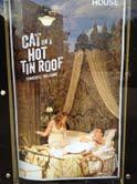 Cat On A Hot Tin Roof