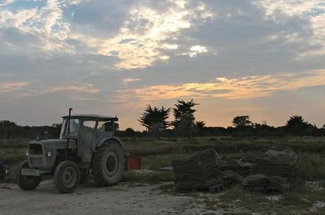 Tractor on the Isle of Aix, France