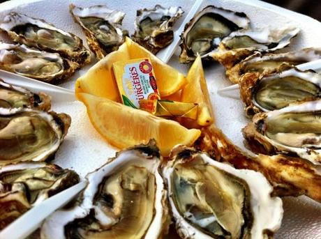 Fresh mussels on the Isle of Aix, France