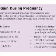 Weight Chart During Pregnancy In Kg