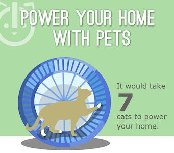 Animal House: Power Your Home With Pets