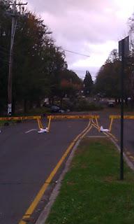 Random thoughts during Hurricane Sandy...