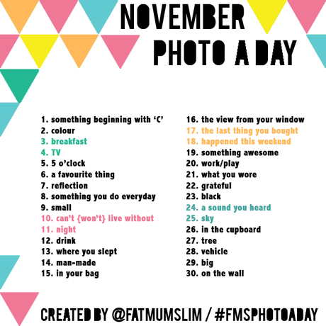 November Photo A Day #fmsphotoaday