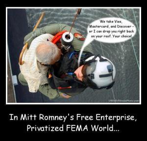 Pets and Hurricane Sandy