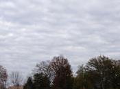 Ready Not… It’s November