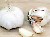 Garlic Beauty