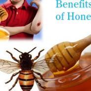 Amazing Health Benefits of Honey