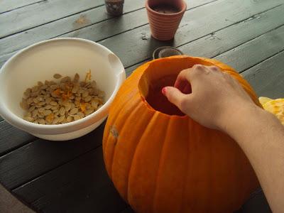 Roasted Pumpkin Seeds Recipe