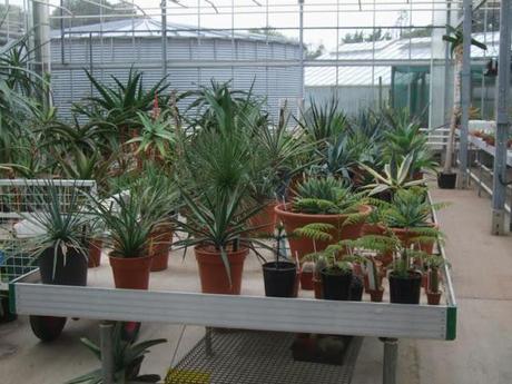 Behind the Scenes at Kew