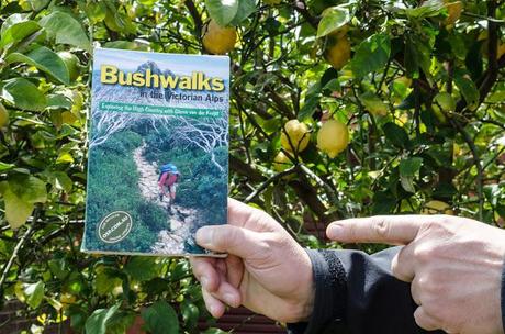 holding book bushwalks in the victorian alps by glenn van der knijff