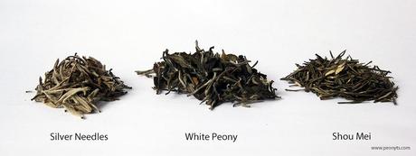 An Overview of White Tea